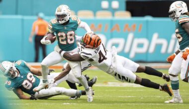 A progress report on Dolphins’ search for building blocks