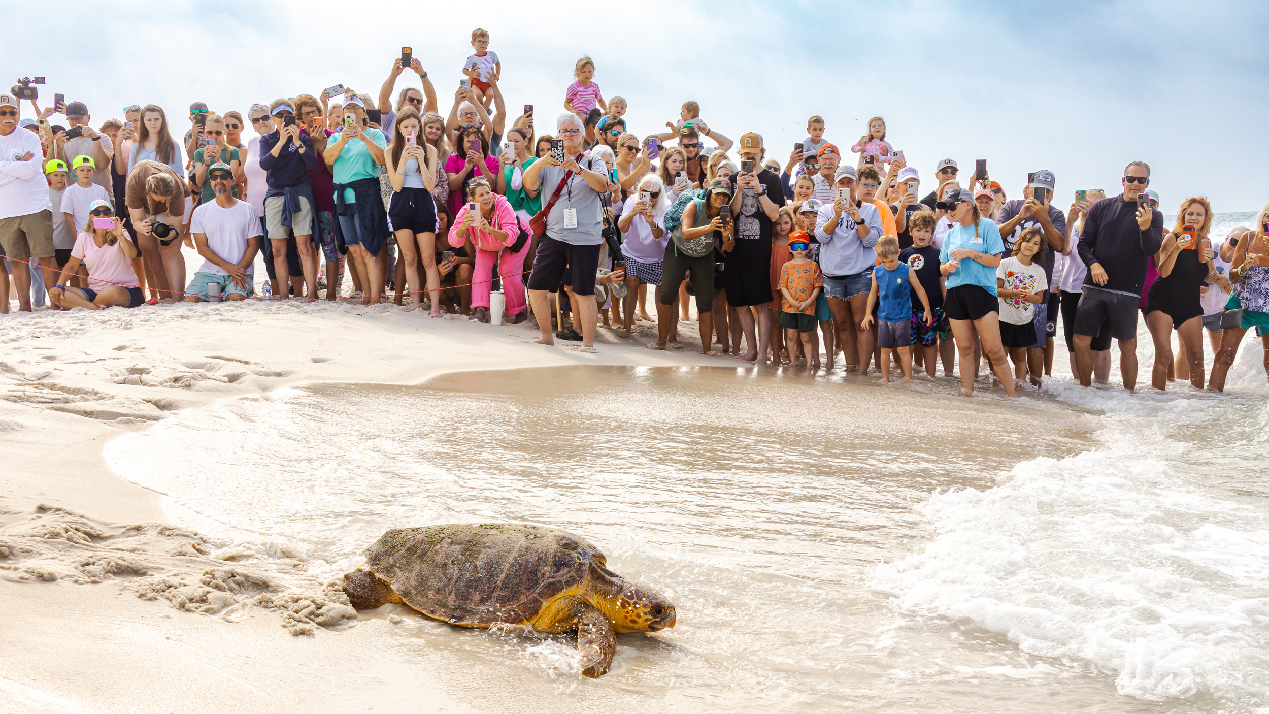 People gather to watch a public turtle release on May 7 at Inlet Beach in Santa Rosa Beach, Fla. Credit: Gulfarium CARE Center