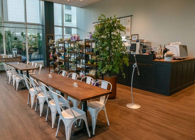 Nic and Luc's All Day Eatery