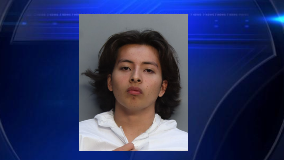 Teen charged with first-degree murder in fatal stabbing of stepfather in Miami, deputies say - WSVN 7News | Miami News, Weather, Sports