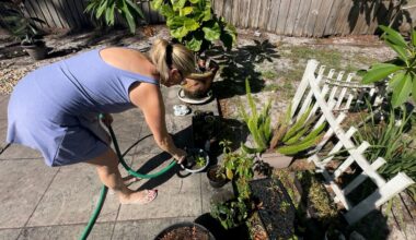 Julie Gentry waters the plants in her backyard. She says the heat has taken a toll on the grass and plants in her backyard, but the real concern is a potential fire from at-home fireworks on the Fourth of July. (Spectrum News)