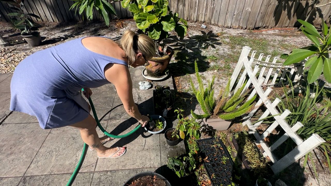 Julie Gentry waters the plants in her backyard. She says the heat has taken a toll on the grass and plants in her backyard, but the real concern is a potential fire from at-home fireworks on the Fourth of July. (Spectrum News)