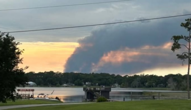 Nearly-4,000-acre fire burning on US forest land in Volusia County