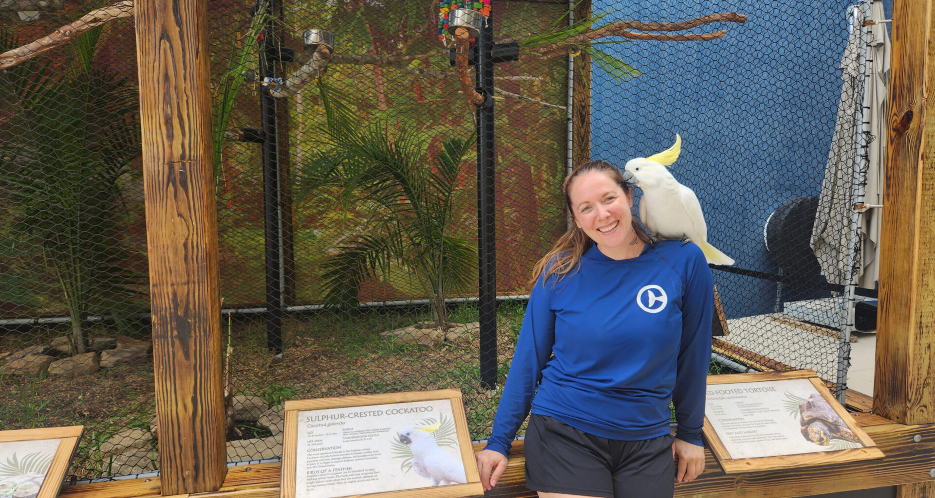 Clearwater Marine Aquarium welcomes new arrivals