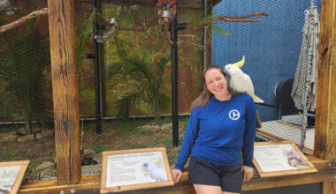 Clearwater Marine Aquarium welcomes new arrivals