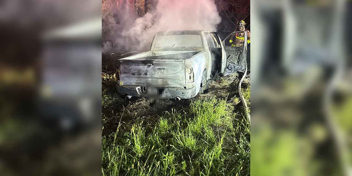 Man dies in Martin County vehicle fire; cause under investigation