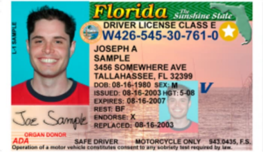 Florida’s new driver’s license rule kicks off next month