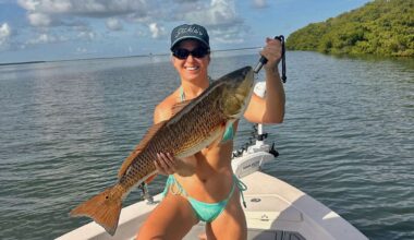 The Tampa Bay Fishin’ Report