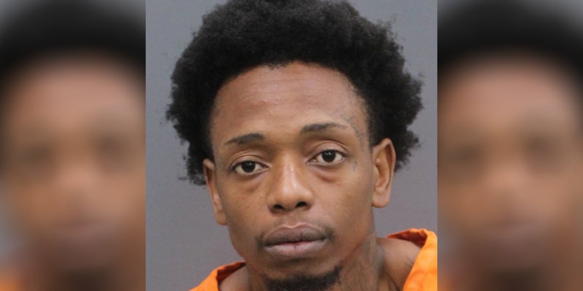 Tampa man arrested after hitting girlfriend with vehicle