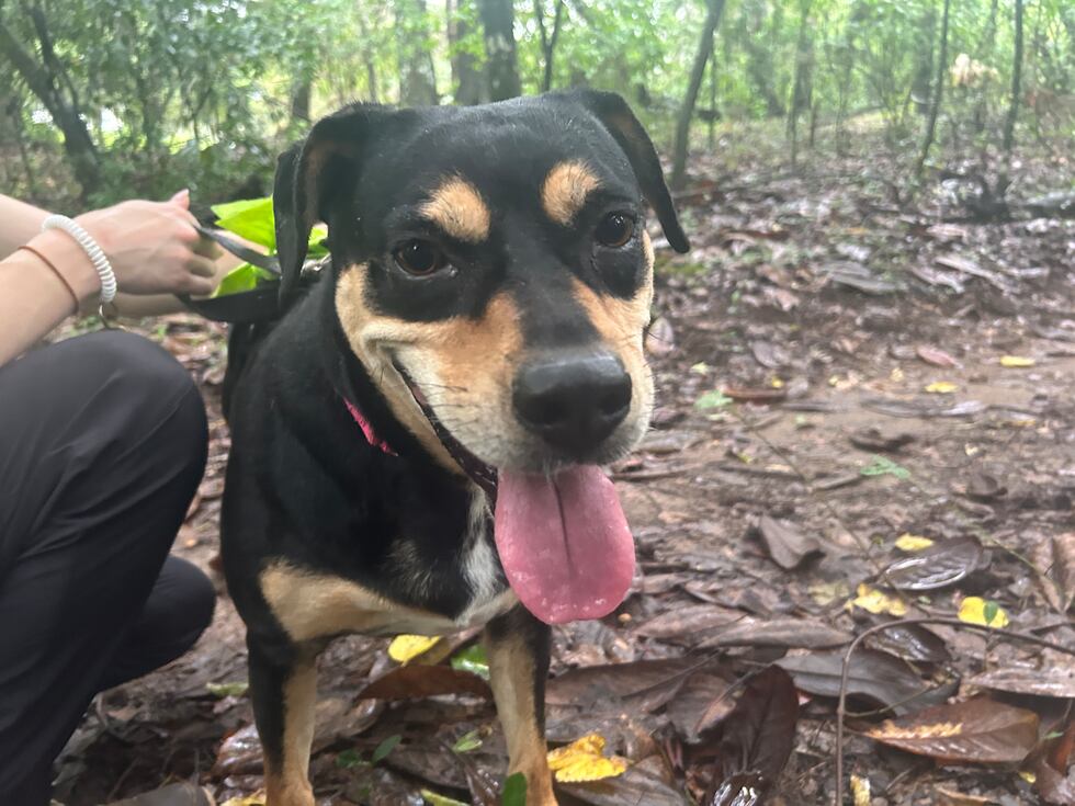 Apparently no one told Casia she’s not a kid anymore! She has plenty of pep in her step and...