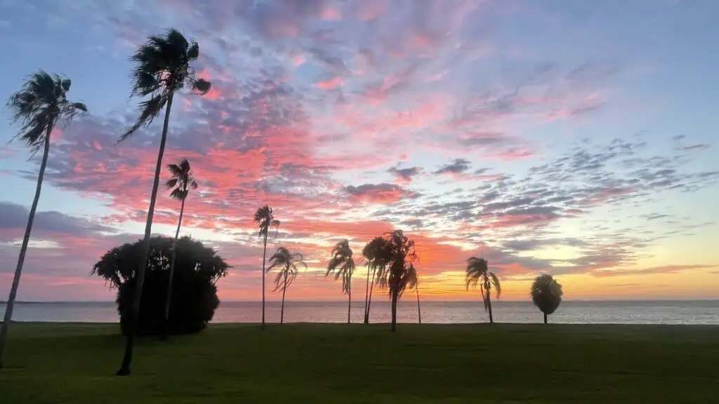 a park at sunrise at a waterfront park with multiple trees