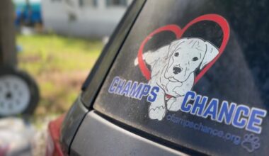 Tallahassee assisted living community raises over $4K for Champs Chance dog rescue: ‘It’s heartwarming’