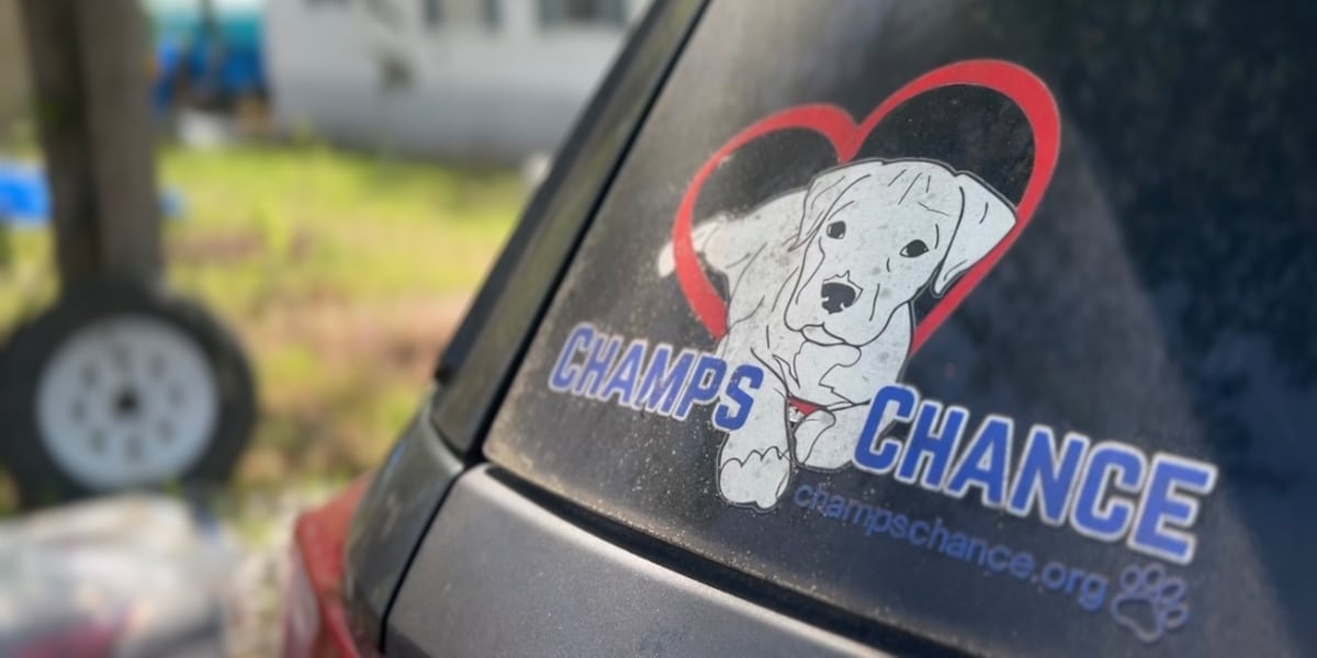 Tallahassee assisted living community raises over $4K for Champs Chance dog rescue: ‘It’s heartwarming’