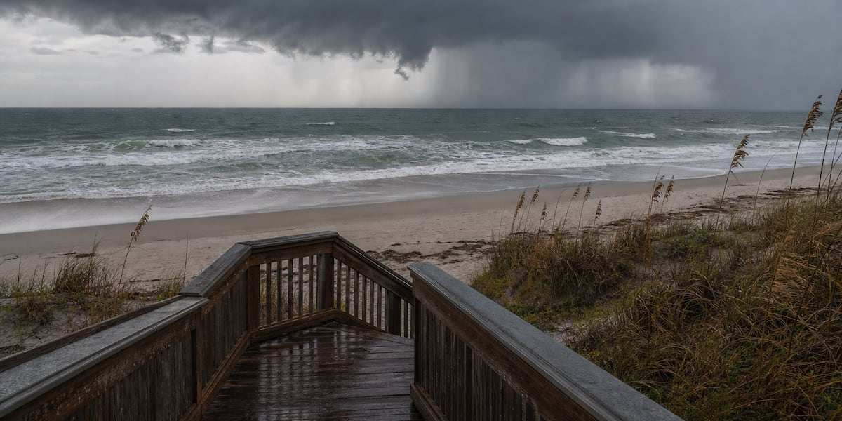 Good news, rain lovers. Florida may be flipping the switch for the Suncoast