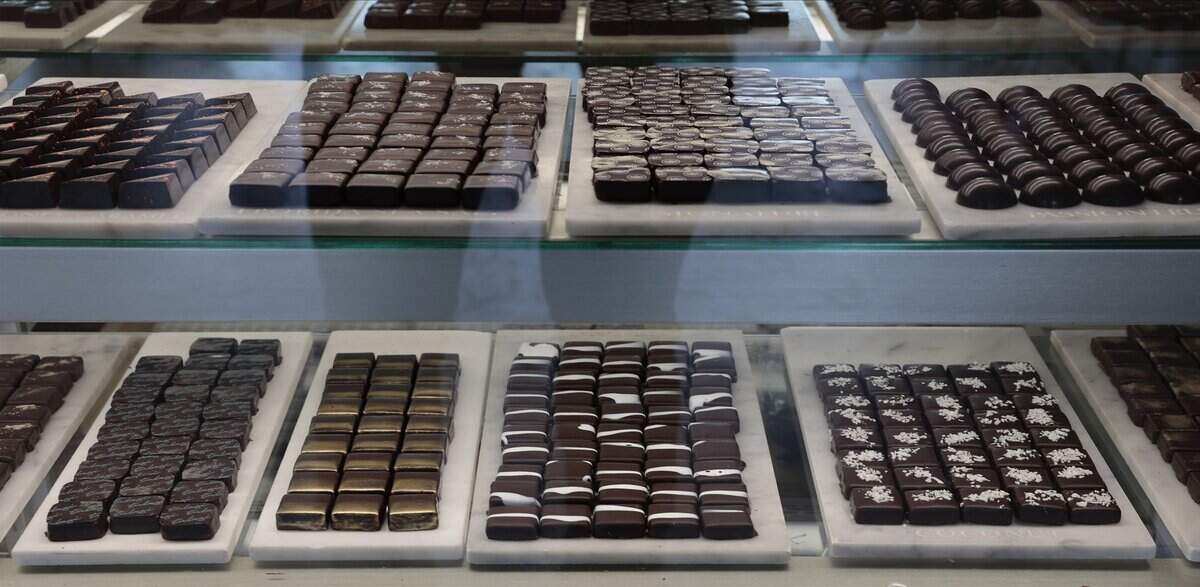 An assortment of chocolate are displayed at Garcia Nevett Chocolatier de Miami. The fine chocolate shop, recently named one of the best in the country, was photographed on Thursday, June 26, 2026, in South Miami, Fla.