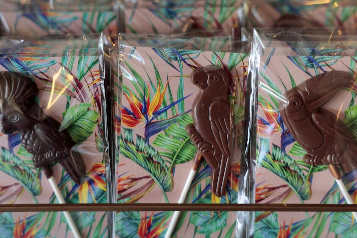 Pictured are packaged chocolate parrots at Garcia Nevett Chocolatier de Miami. The fine chocolate shop, recently named one of the best in the country, was photographed on Thursday, June 26, 2026, in South Miami, Fla.
