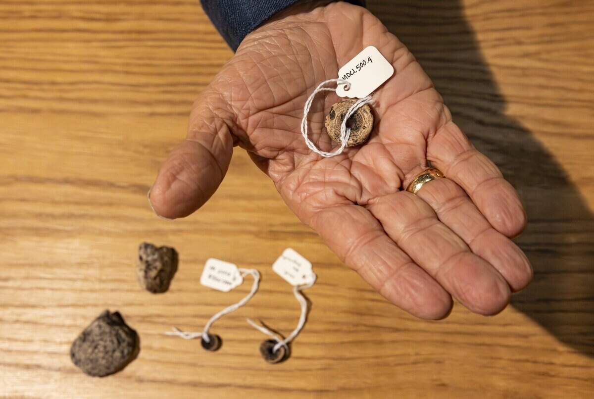 Resident historian Paul George holds a faunal drilled shark vertebrae from the Miami Circle at HistoryMiami Museum on Wednesday, Oct. 29, 2025, in downtown Miami, Fla.