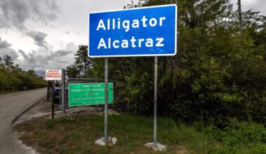 Alligator Alcatraz contractor is a top donor in Miami-Dade