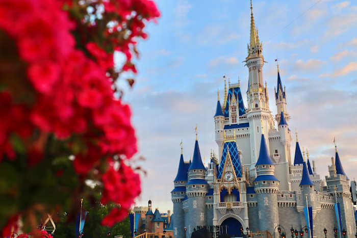 ‘A dream come true’: The magic behind Disney’s Cinderella Castle makeover project