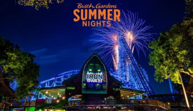 Things to do around Tampa & Wesley Chapel: June 11-17