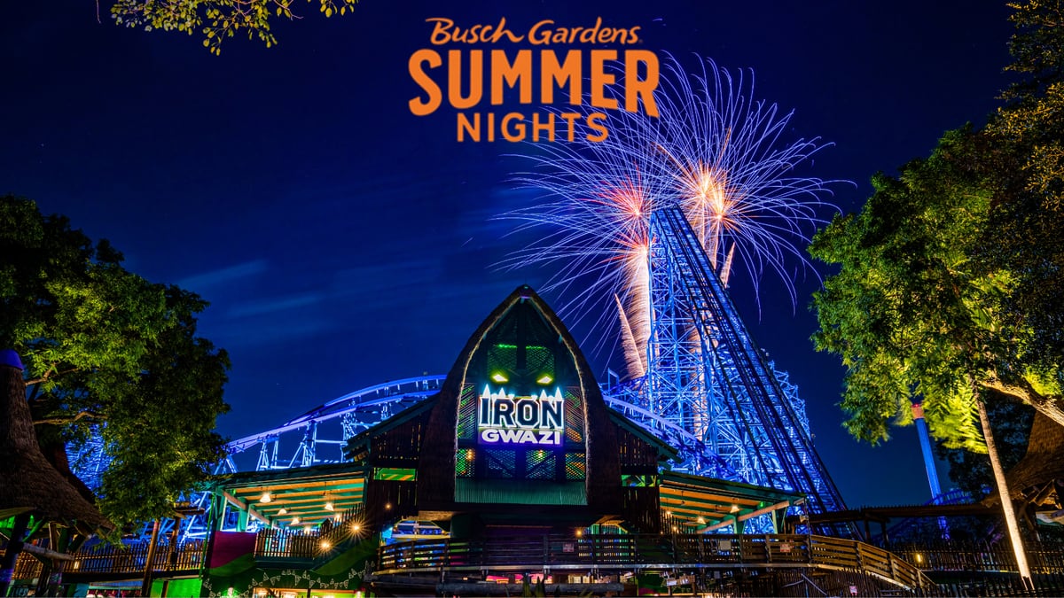 Things to do around Tampa & Wesley Chapel: June 11-17