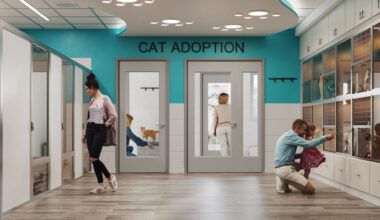 Humane Society of the Treasure Coast Thrift Stores boost animal care during shelter renovations