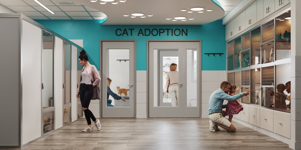 Humane Society of the Treasure Coast Thrift Stores boost animal care during shelter renovations