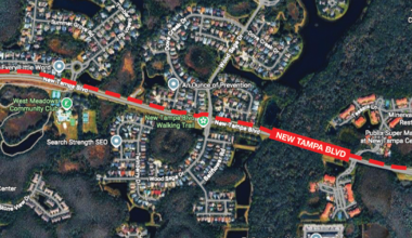 Drivers Rejoice! New Tampa Blvd. Repaving To Finally Begin Soon — Neighborhood News