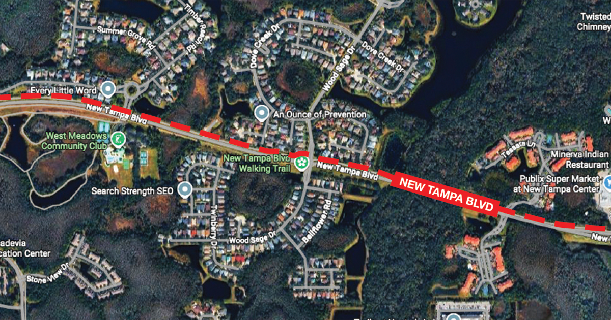 Drivers Rejoice! New Tampa Blvd. Repaving To Finally Begin Soon — Neighborhood News