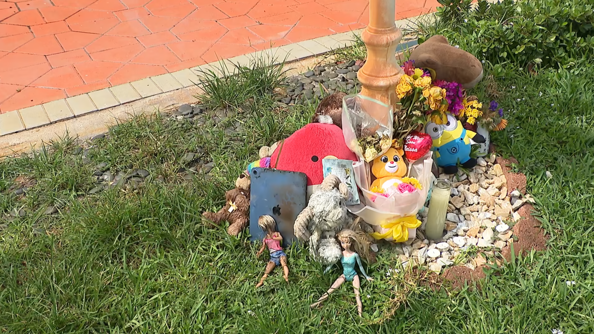 Vigil held for 6-year-old girl and grandmother killed in North Lauderdale house fire – NBC 6 South Florida