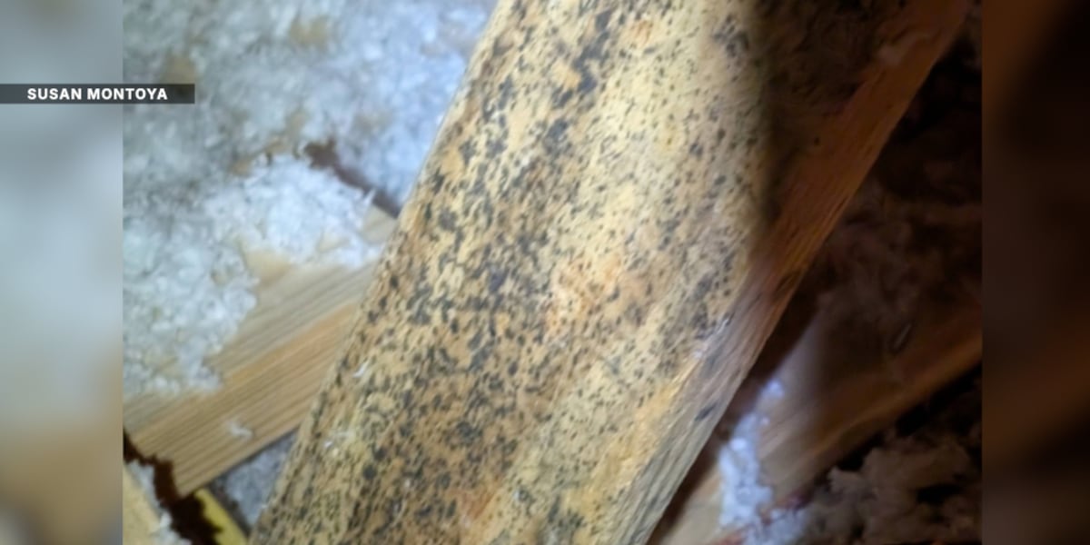 'My jaw dropped': Port St. Lucie homeowner says discovery in attic cost her a buyer
