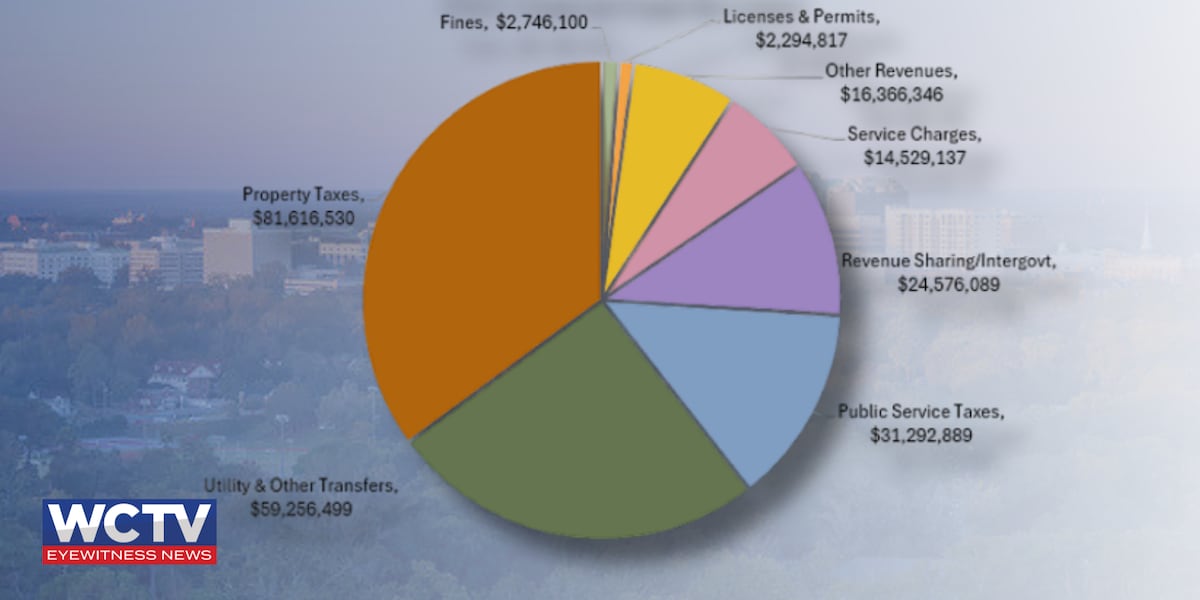 City of Tallahassee to discuss voluntary separation, property tax reductions in budget workshop