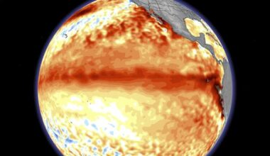 El Niño has officially arrived. Here’s what it means for Florida