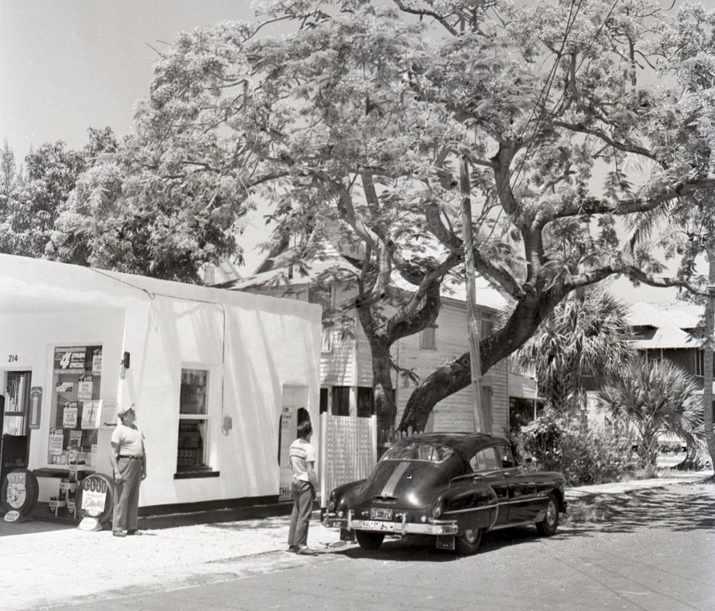 One of the local trees he planted that contributed to his garnering the nickname “The Flowering Tree Man.”. Photo courtesy of Martin Digital History