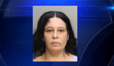 Miami mother accused of helping son steal purse from Design District jewelry store, police say - WSVN 7News | Miami News, Weather, Sports