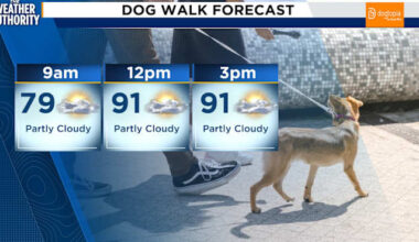 A day of hot temps and a few afternoon and evening showers and storms