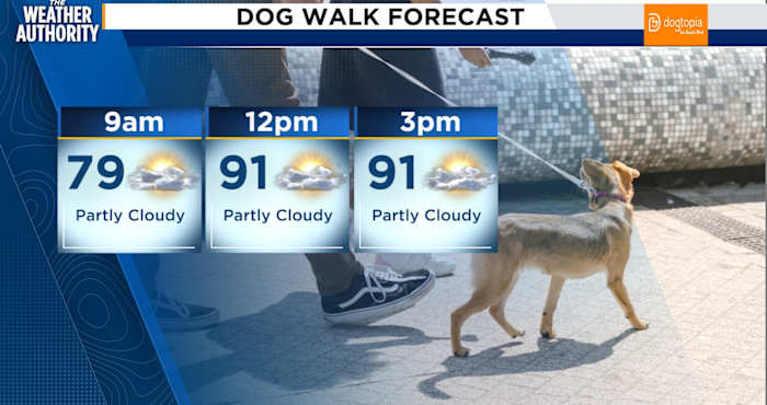 A day of hot temps and a few afternoon and evening showers and storms