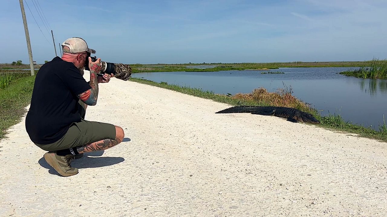 Lake Apopka’s comeback to a wildlife paradise draws crowds