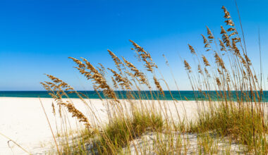Protect This Place: The Florida Panhandle vs. petrochemicals