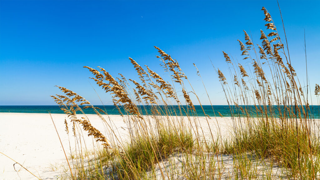 Protect This Place: The Florida Panhandle vs. petrochemicals