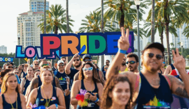 St. Pete City Council opposes state anti-DEI legislation