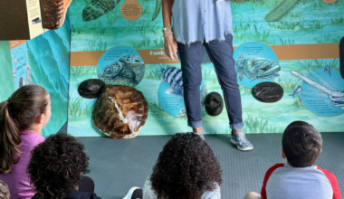 Refuge provides update on WoW - SANIBEL-CAPTIVA