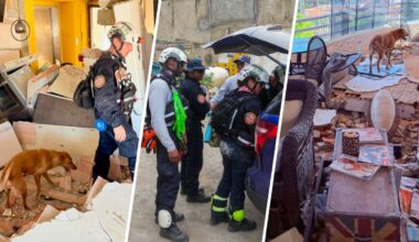 Miami-Dade rescuers, K-9s look for Venezuela earthquake survivors – NBC 6 South Florida