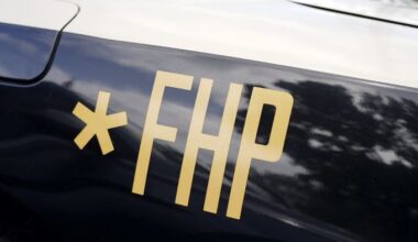Man hit by pick-up truck, killed on Johns Cemetery Road in Middleburg: FHP
