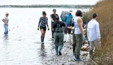 oyster reefs into the shore at Riverview Park