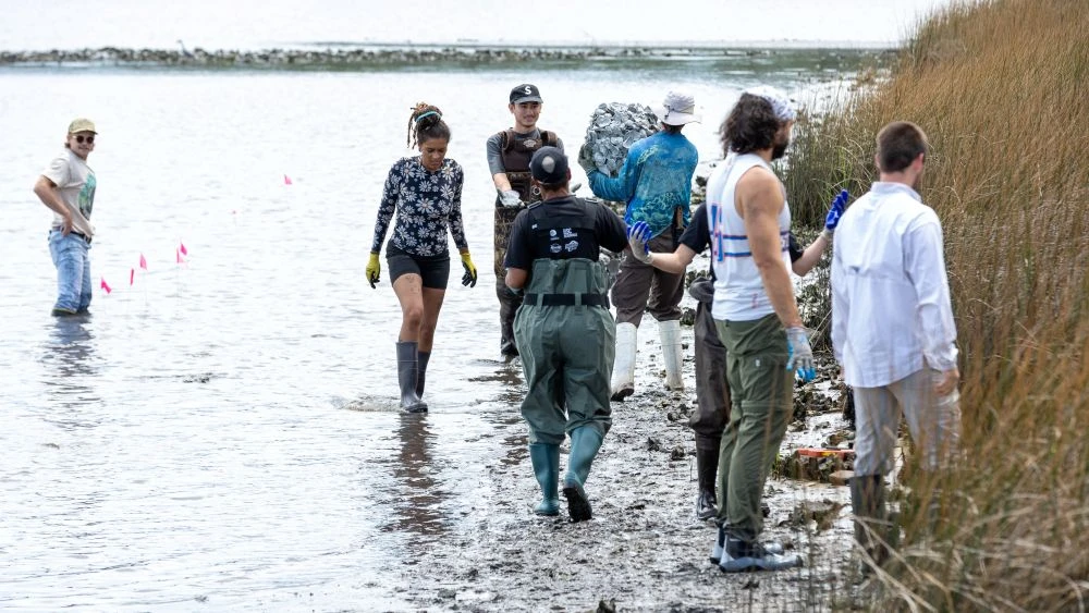 oyster reefs into the shore at Riverview Park