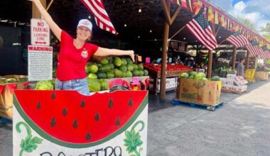 The advantage of fresh and local
