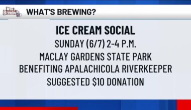 What’s Brewing - Ice Cream Social