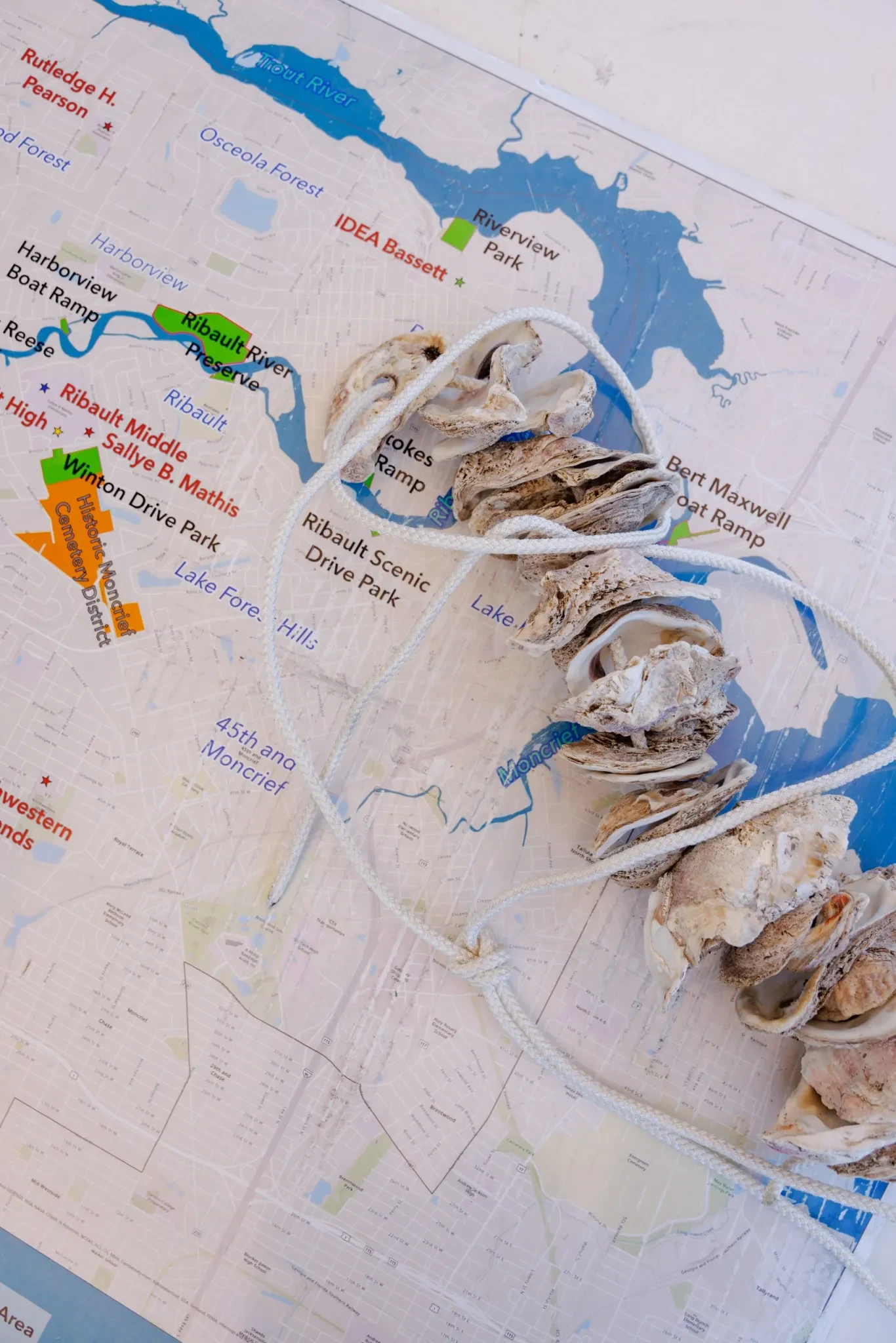 PJ: Toxic Tides: Rising seas increase risk of contaminants in Jacksonville’s waterfront communities 2026 Graphic 3