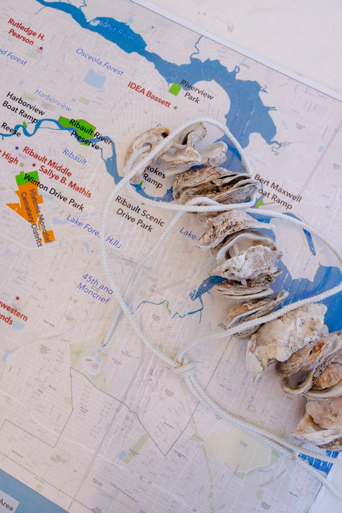 A cluster of oysters used as a natural  filter lay across a map depicting rivers and local parks on the Northside of Jacksonville.